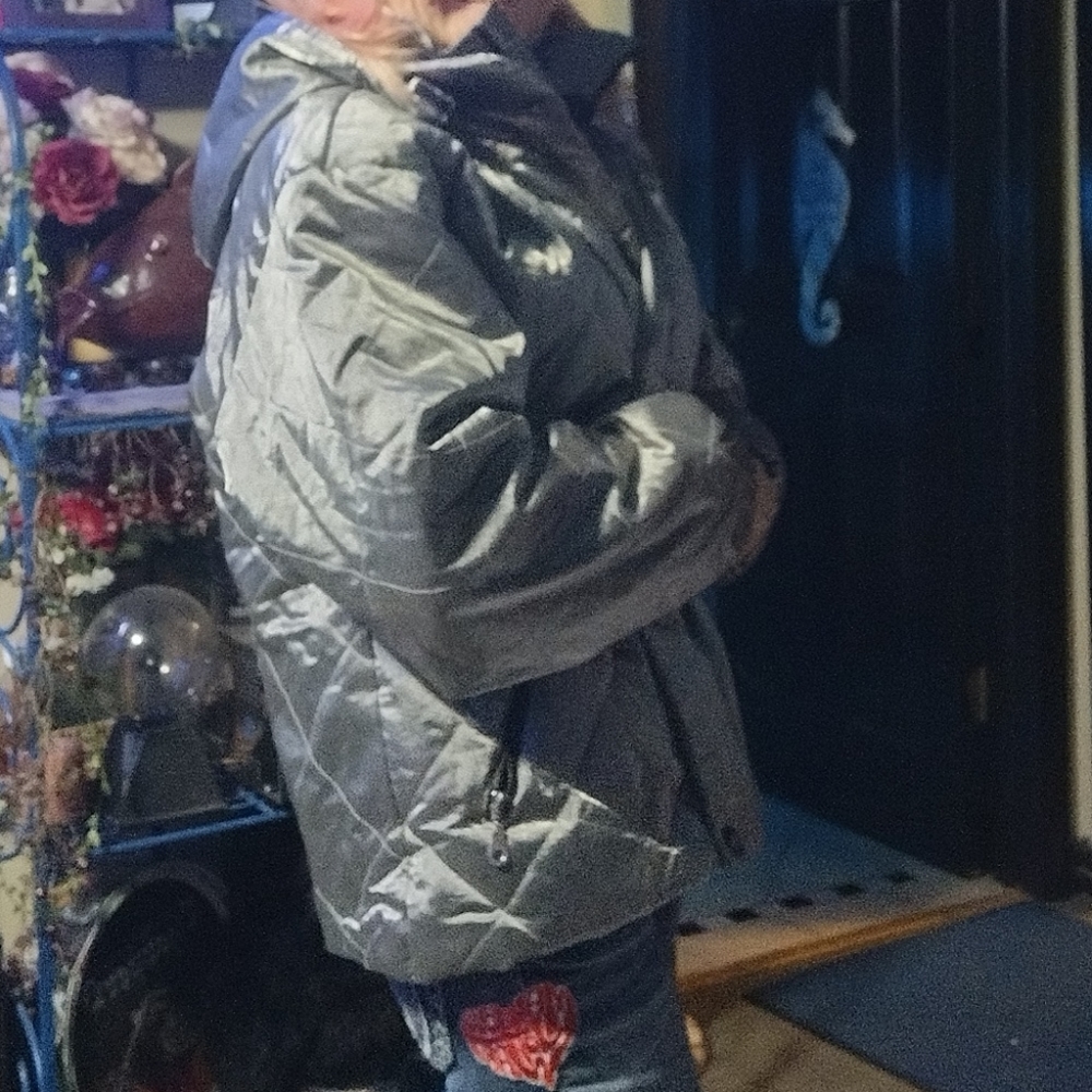 Silver Metallic Warm Winter Jacket - image 7